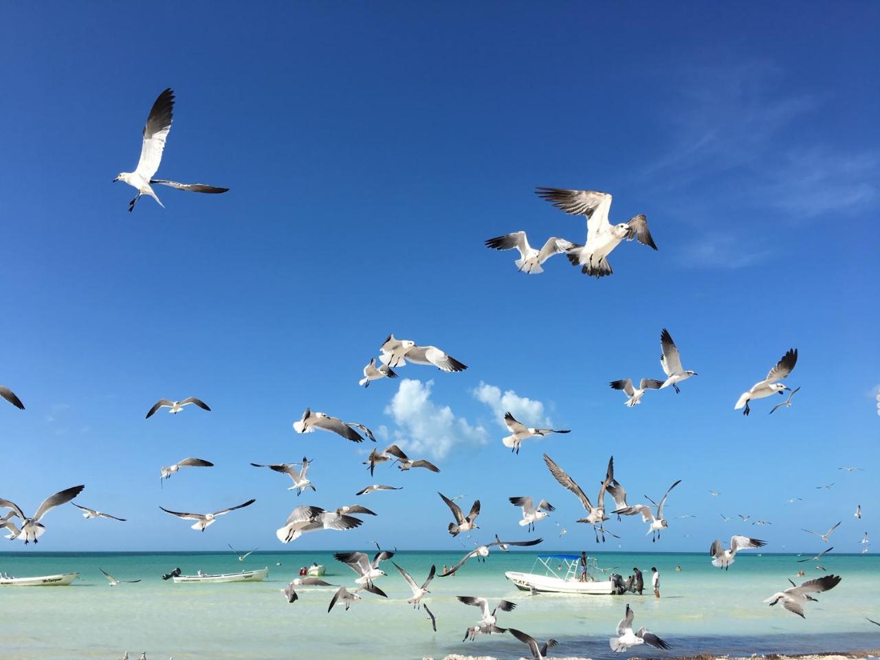 El Corazon Boutique Hotel - Adults Only With Beach Club Pass Included Isla Holbox Kültér fotó