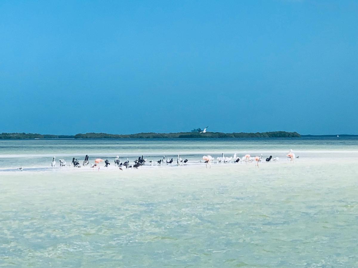 El Corazon Boutique Hotel - Adults Only With Beach Club Pass Included Isla Holbox Kültér fotó